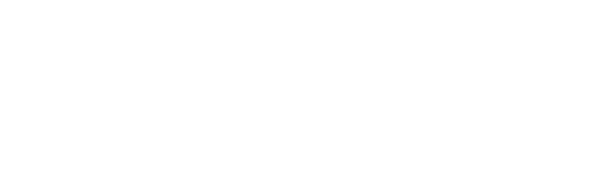 Logo bianco